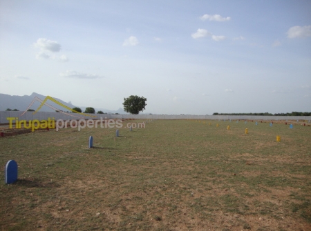 2) Residential Lands for Sale Near BHEL Project.JPG